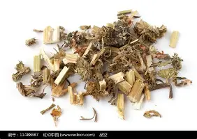 壹号娱乐官网- 斯图加特加时末段遗憾出局埃因霍温集结日手感冰凉，马德里竞技止住颓势备战欧超杯都惊呆了